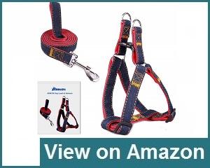 Arikon Dog Leash Pet Harness Review