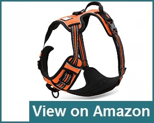Chai’s Choice Dog Harness Review