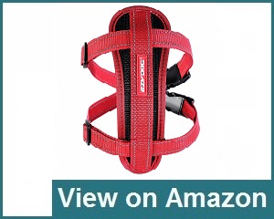 Ezydog Chest Plate Dog Harness Review