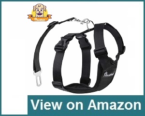 Pawaboo Dog Safety Vest Review