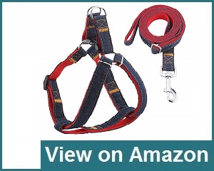 Urpower Dog Leash Harness Review