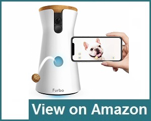 Furbo Dog Camera Review