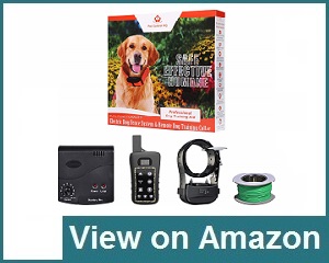 Pet Control HQ Fence Review