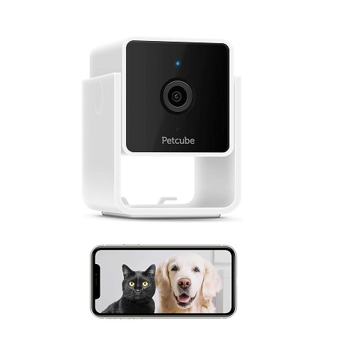 Petcube Cam Pet Monitoring Camera Review