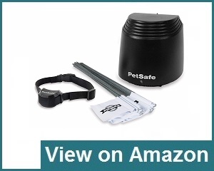 Petsafe Stay and Play Wireless Fence Review