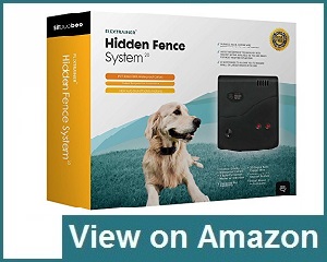 Sit Boo-Boo Dog Fence Review