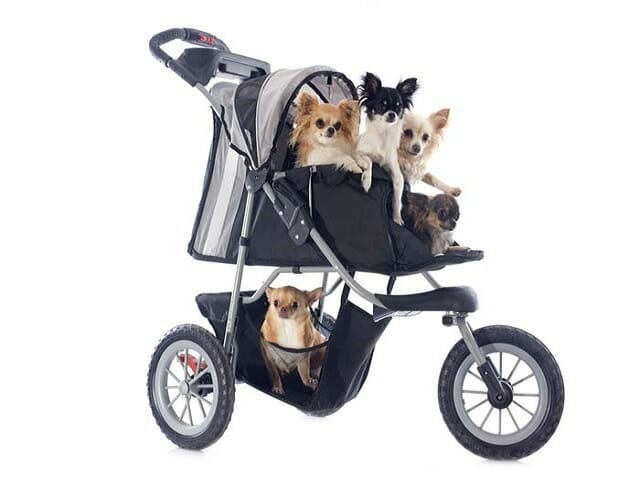 all terrain dog stroller