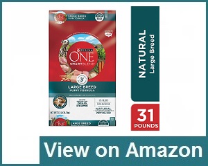 Purina One Dog Food Review
