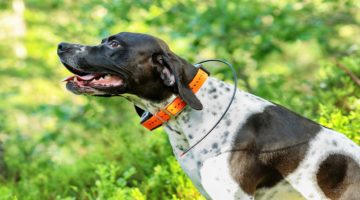 Top 10 Best Dog GPS Collars in 2018 – Reviewed & Compared