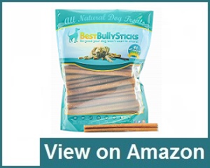 Best Bully Sticks Review