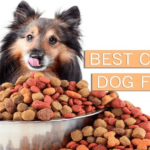 Best Cheap Dog Foods