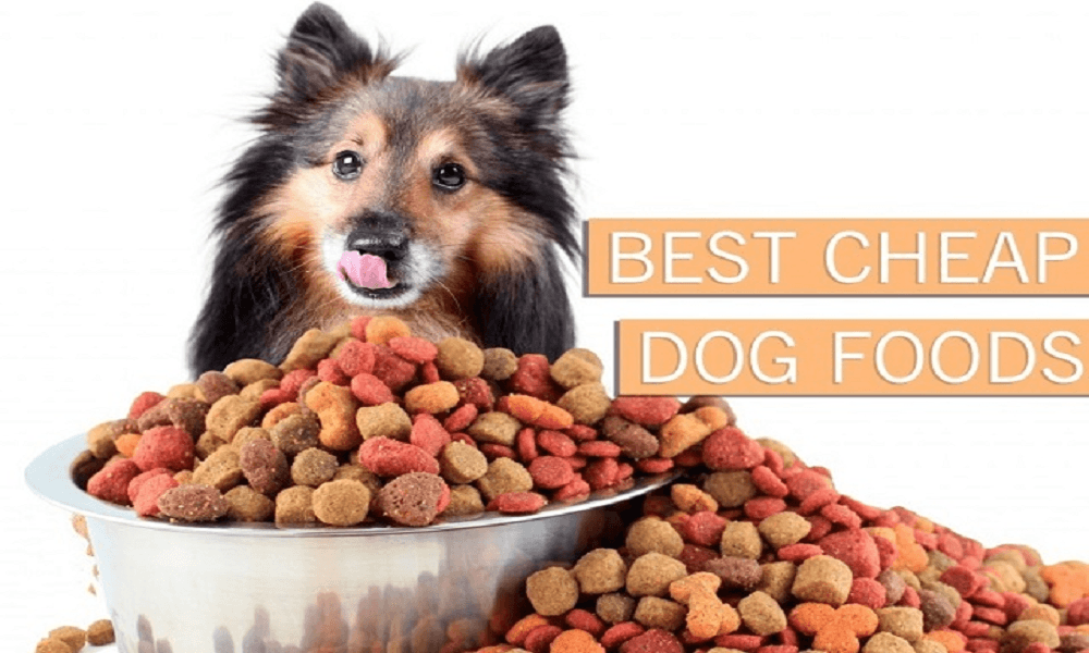 top cheap dog food