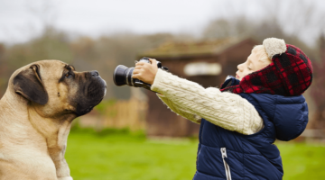 Top 10 Best Dog Cameras for Pet Monitoring in 2018 – Reviewed & Compared
