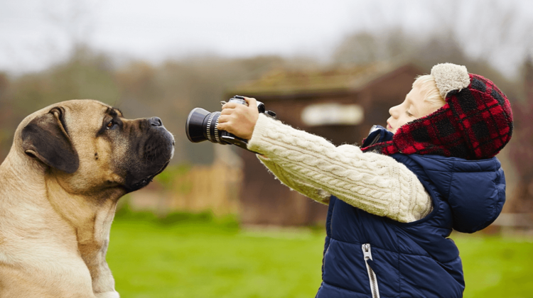 Best Dog Cameras for Pet Monitoring