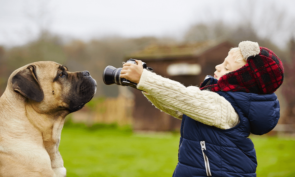 The 10 Best Dog Cameras for Pet Monitoring 2023