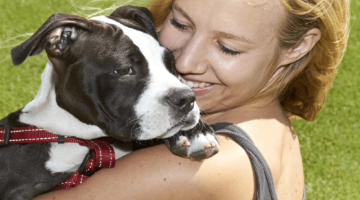 Top 10 Best Dog Harnesses in 2018 – Reviewed & Compared