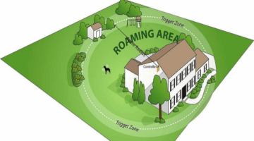 Top 10 Best Invisible Dog Fences in 2018 – Reviewed & Compared