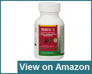 Nemex 2 Review