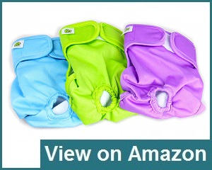 Pet Magasin Dog Diapers Review