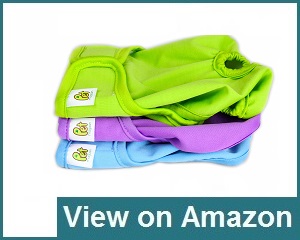 Pet Magasin Velcro Fits Review