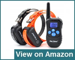 Petrainer Pet998dbb2 Review