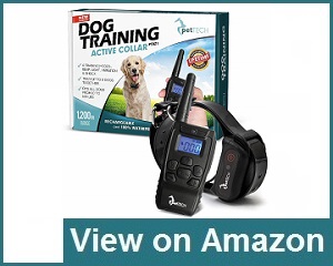 pet tech dog training active collar