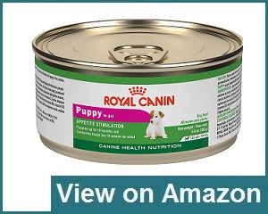 premium canned dog food