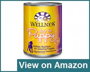 Wellness Natural Pet Food Review