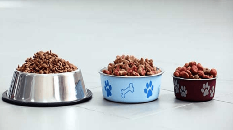 best dog food uk