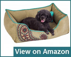 Blueberry Pet Bed Review