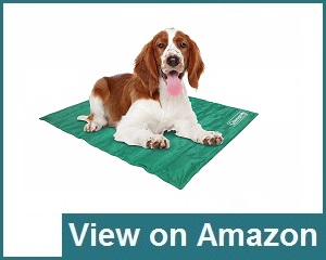 Coleman Comfort Pet Mat Review