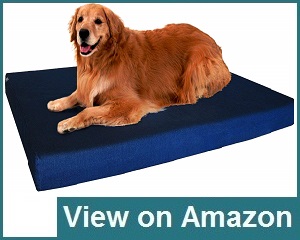 Dogbed4less Memory Foam Review