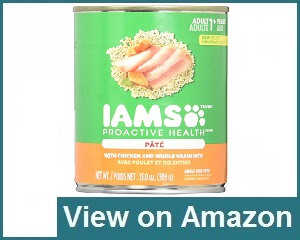 Iams Proactive Review