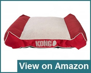 kong chew proof dog bed