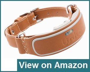 Link Akc Collar Review