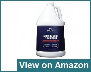 strongest pet odor eliminator