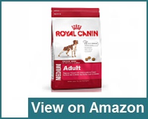 best mid priced dog food