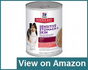 best wet dog food for sensitive stomach