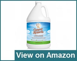 best pet odor eliminator for carpet