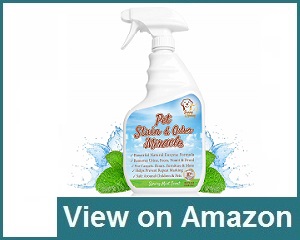 Sunny & Honey Enzyme Cleaner Review