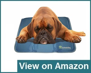 The Green Pet Shop Dog Cooling Mat Review