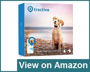 Tractive GPS Pet Tracker Review