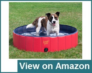 Frontpet Foldable Pet Pool Review