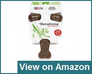 Benebone Bacon Flavored Wishbone Review