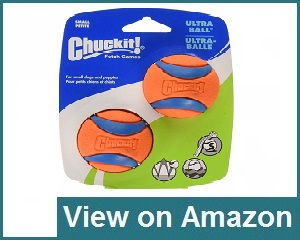 Chuckit! Small Ultra Ball Review