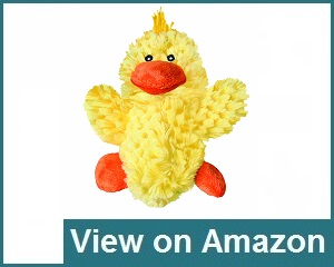 kong duck dog toy