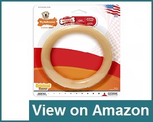 Nylabone Ring Dura Chew Dog Toy