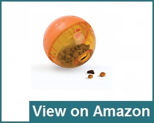 Our Pets Iq Treat Ball Interactive Review