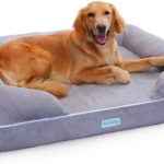 Best Large Dog Beds