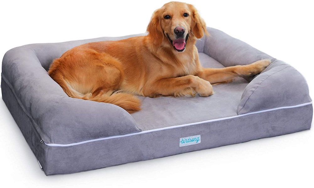 10 Best Large Dog Beds (Jan. 2021) Buyer’s Guide